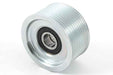 SLP PLY-842 Idler Pulley - 20851842,8086970