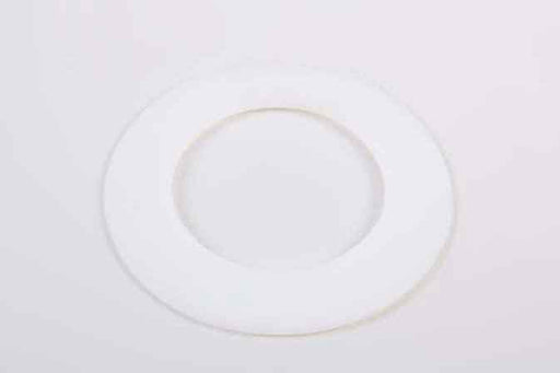 SLP PW-315 Plastic Washer - 4863315