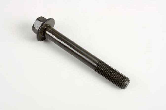 SLP SKR-079 Flange Screw - 20441079,21344765