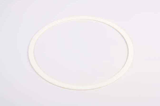 SLP STR-039 Back-Up Ring - 4787039