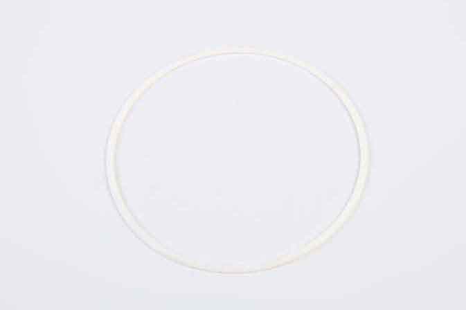 SLP STR-854 Back-Up Ring - 4880854