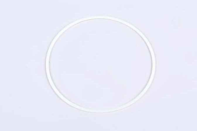 SLP STR-877 Back-Up Ring - 4880877