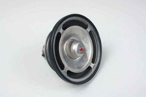 SLP T-216 Thermostat - 20397955,20441484,20560252,21237216,21412643,3183582