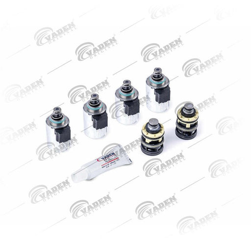 VADEN 303.11.0077.01 3 Position Gearbox Cylinder Repair Kit