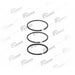 VADEN 921 203 92,00mm (+0,75) 2,50+2,50+4,00 Compressor Ring